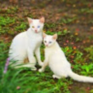 Meet your Posher, Jody